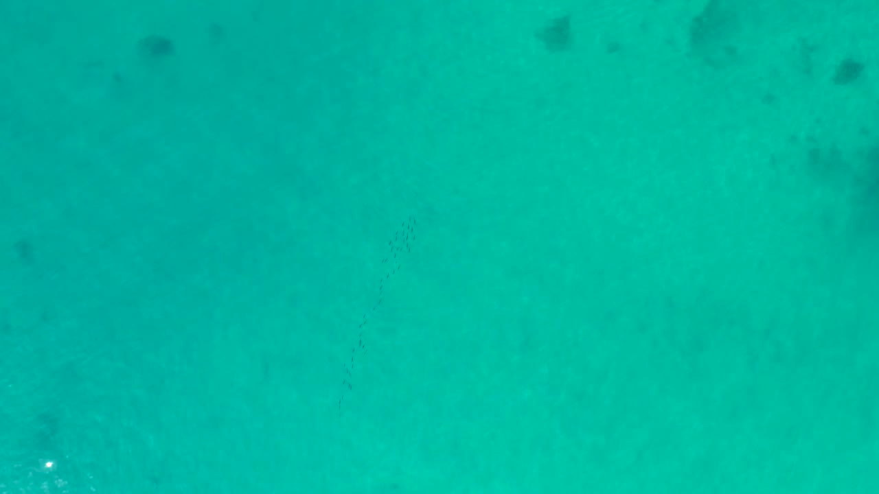 Overhead turquoise ocean water at Shipwrecks Los Cabos with scattered faint dark underwater patches and no visible people.