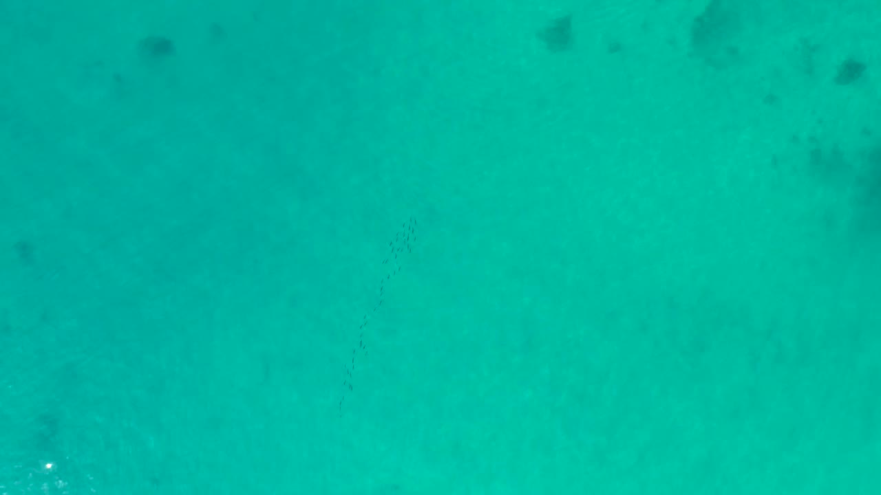 Blue-green ocean water from above at Shipwrecks Los Cabos, with mottled darker forms below the surface and no visible people.