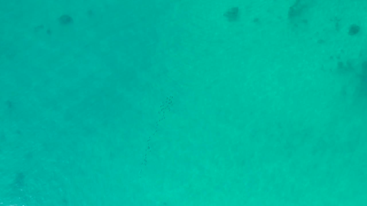 Turquoise sea surface at Shipwrecks Los Cabos with dim submerged shapes becoming less distinct and no visible people.