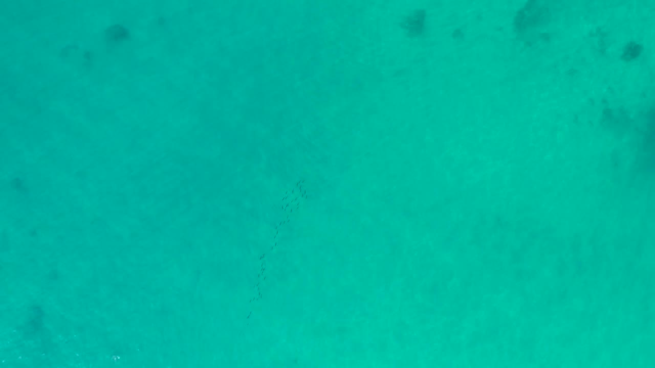 Overhead view of clear turquoise water with a few darker patches.