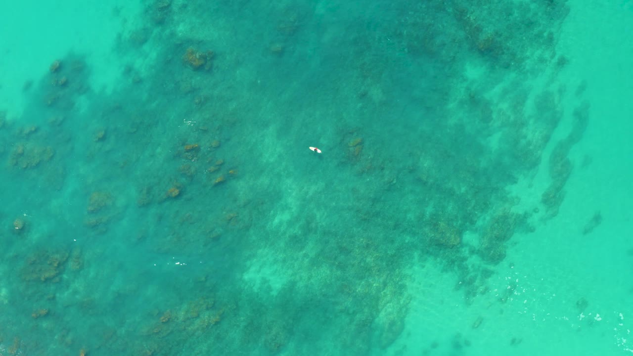 Top-down turquoise reef water with a tiny swimmer near the left side.