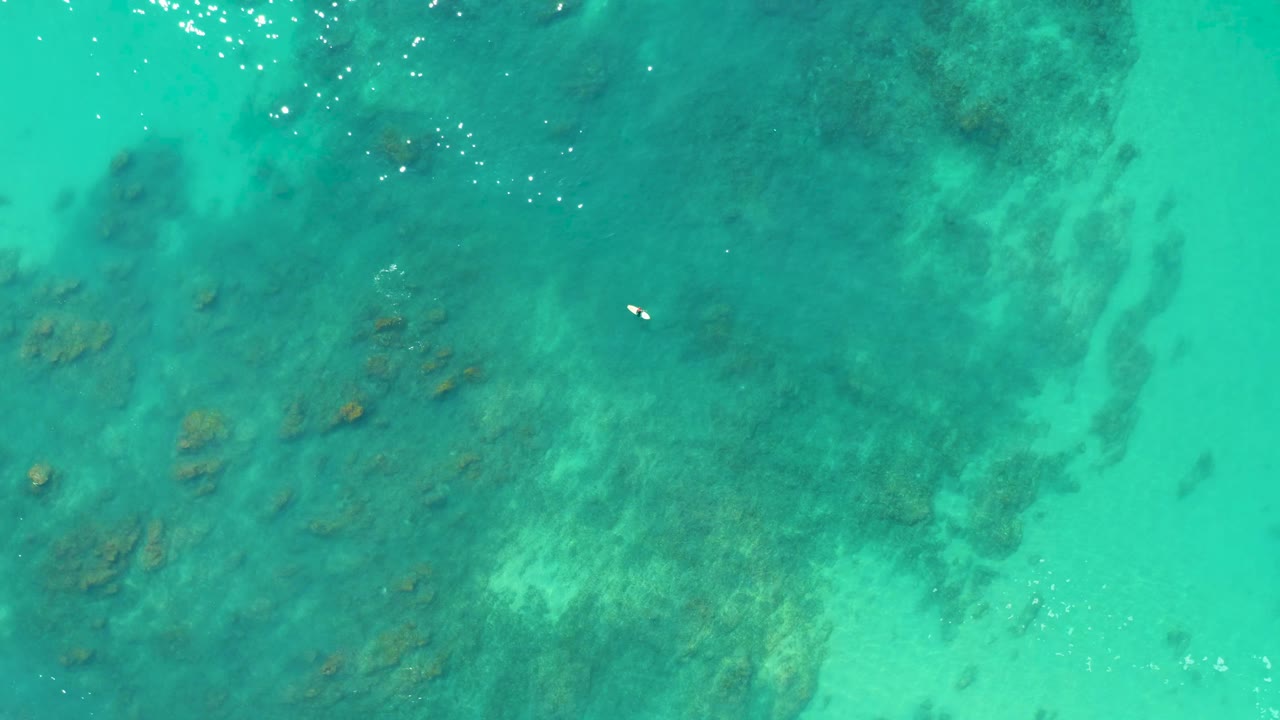 Overhead view of turquoise water at Shipwrecks Los Cabos with dark submerged vegetation patches near the top and left, bright surface glints, and no visible people.