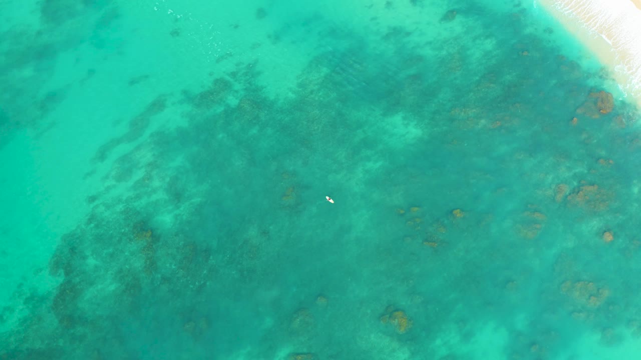 Clear overhead water at Shipwrecks Los Cabos shows dark reef shapes beneath the surface, a small white floating object near center, and no visible people.