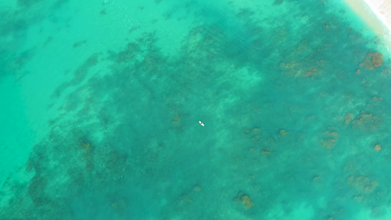 Overhead view at Shipwrecks Los Cabos shows a larger dark reef mass through turquoise water, the small white object lower in frame, and no visible people.