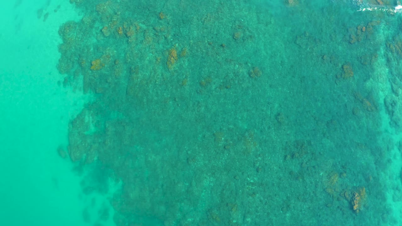 A top-down frame shows the reef under bright turquoise water at Shipwrecks Los Cabos, with mottled green-blue seabed detail and no visible people.
