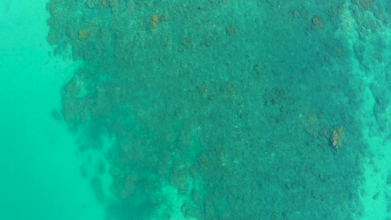 Top-down aerial frame at Shipwrecks Los Cabos showing turquoise water beside a broad dark reef area, with pale sand visible near the lower edge and no visible people.
