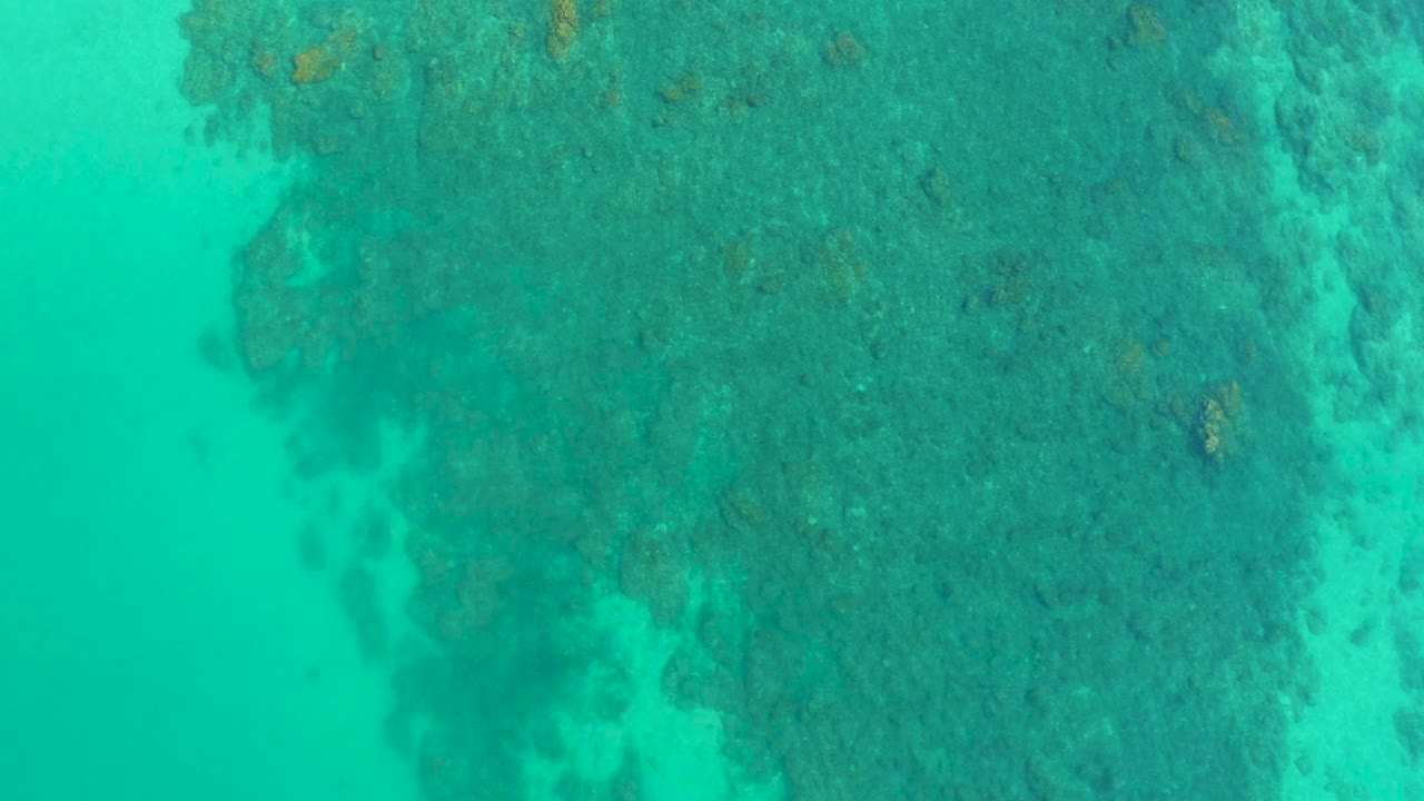 Top-down view of a coral reef beneath clear turquoise water at Shipwrecks Los Cabos, Mexico, with darker reef texture on the right and no visible people.