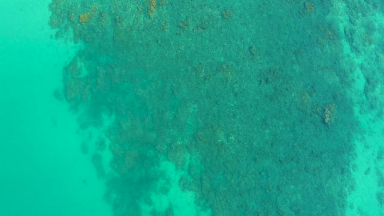Dense reef formations remain visible through clear turquoise water at Shipwrecks Los Cabos, Mexico, with a narrow lighter water band at the left and no visible people.