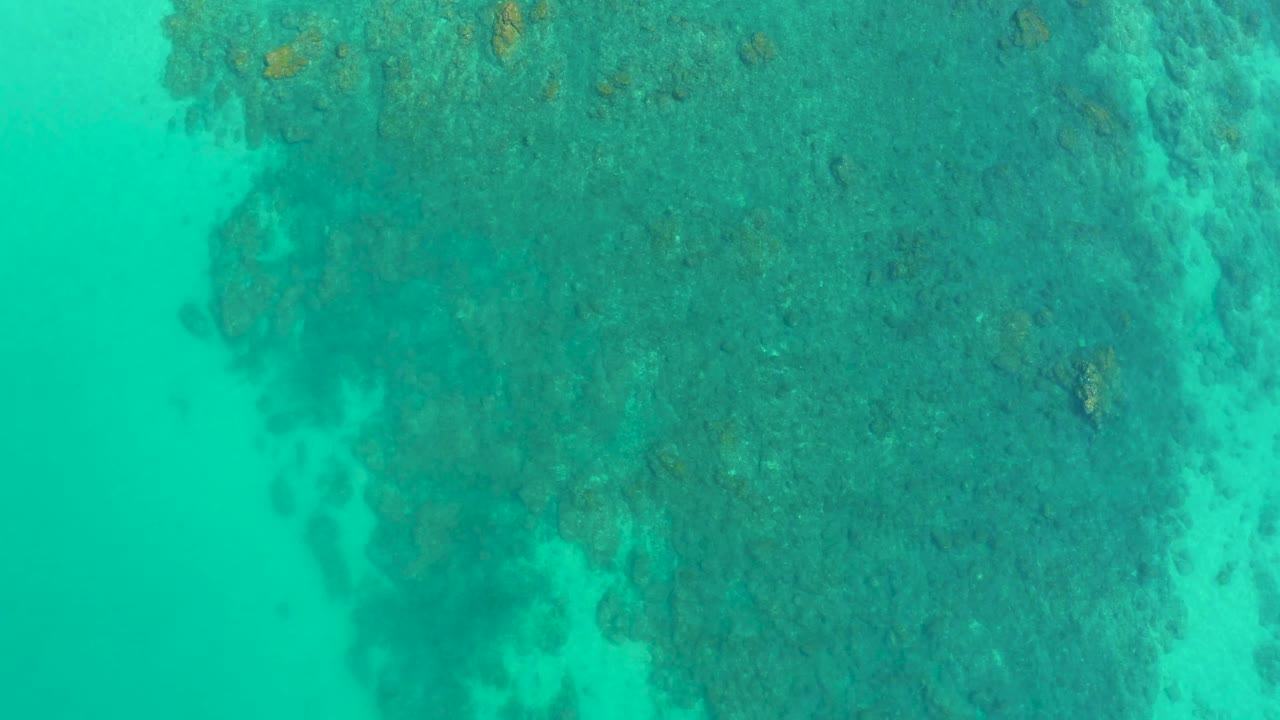 Aerial-looking reef view with turquoise water border