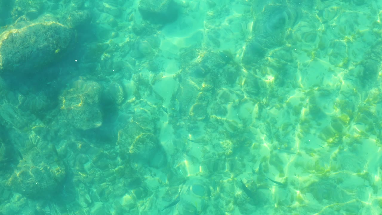 Rippling turquoise water at Shipwrecks Los Cabos reveals dark rocks near the upper frame and pale bottom textures beneath shifting sunlight, with no visible people.