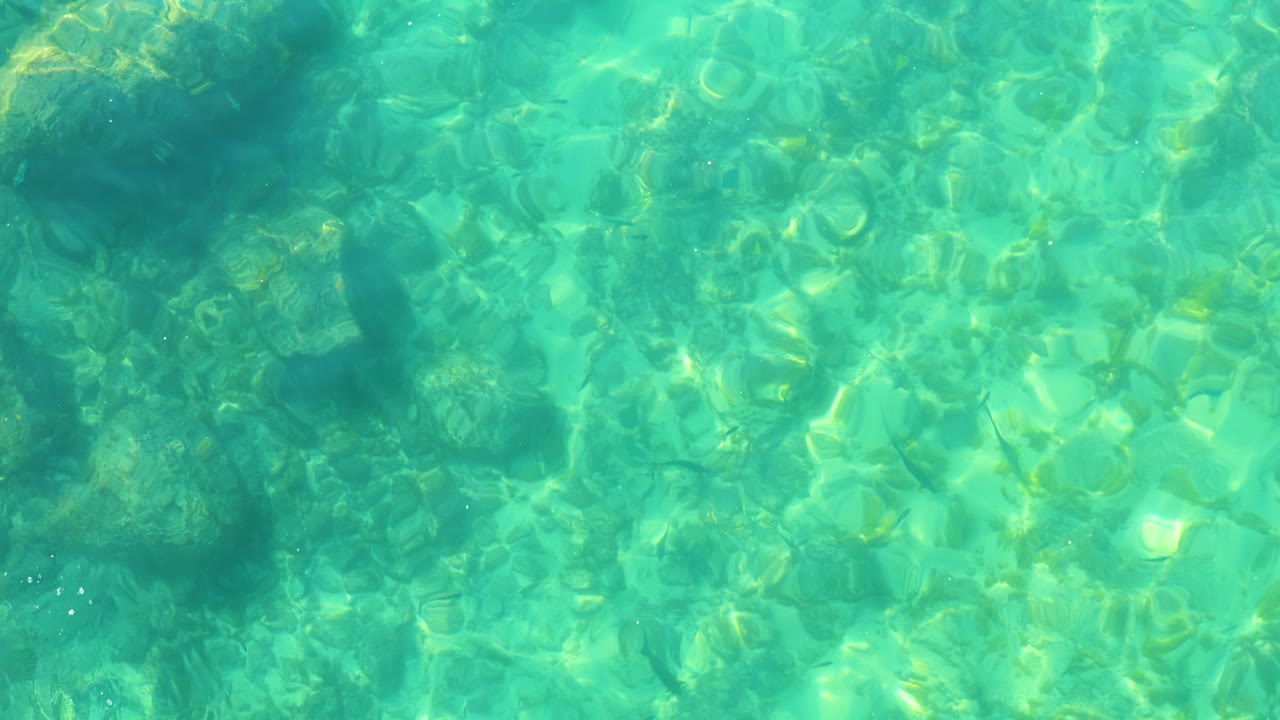 Shallow water at Shipwrecks Los Cabos fills the frame with dark submerged rocks, green-blue color, and broken sunlight patterns, with no visible people.