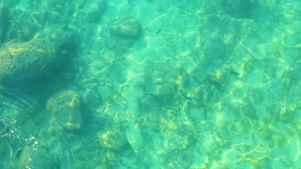 A rocky seabed remains visible through turquoise water at Shipwrecks Los Cabos, with surface shimmer crossing the frame and no visible people.