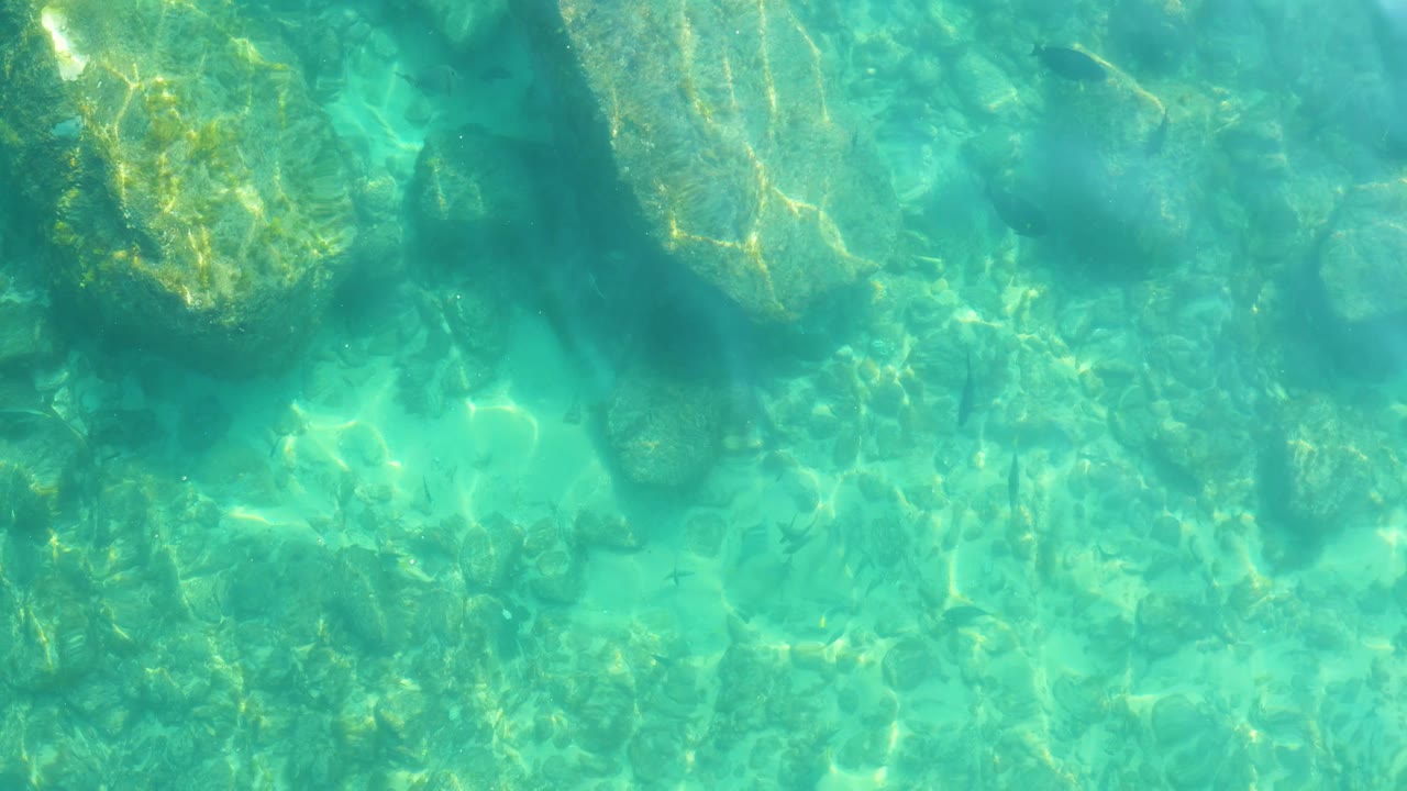 Overhead turquoise shallows at Shipwrecks Los Cabos reveal rocky bottom texture, darker rock shadows, scattered small fish, and no visible people.
