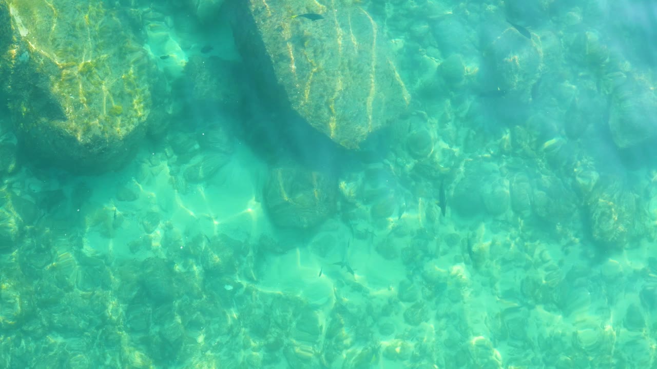 A closer overhead section of Shipwrecks Los Cabos water shows large submerged rocks, pale sandy patches, small fish shapes, and no visible people.