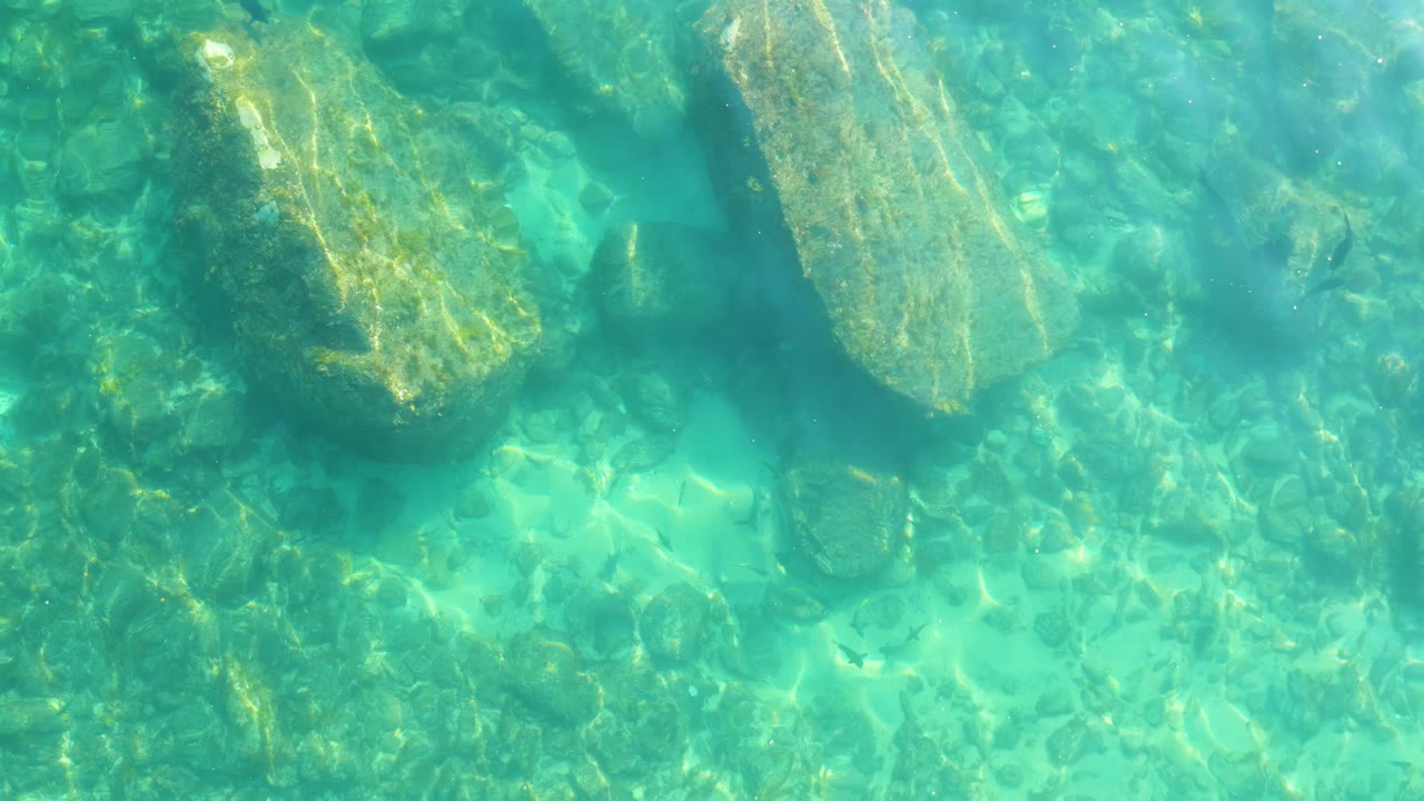 Clear shallow water at Shipwrecks Los Cabos shows submerged rocks, scattered stones, faint small fish, and no visible people.