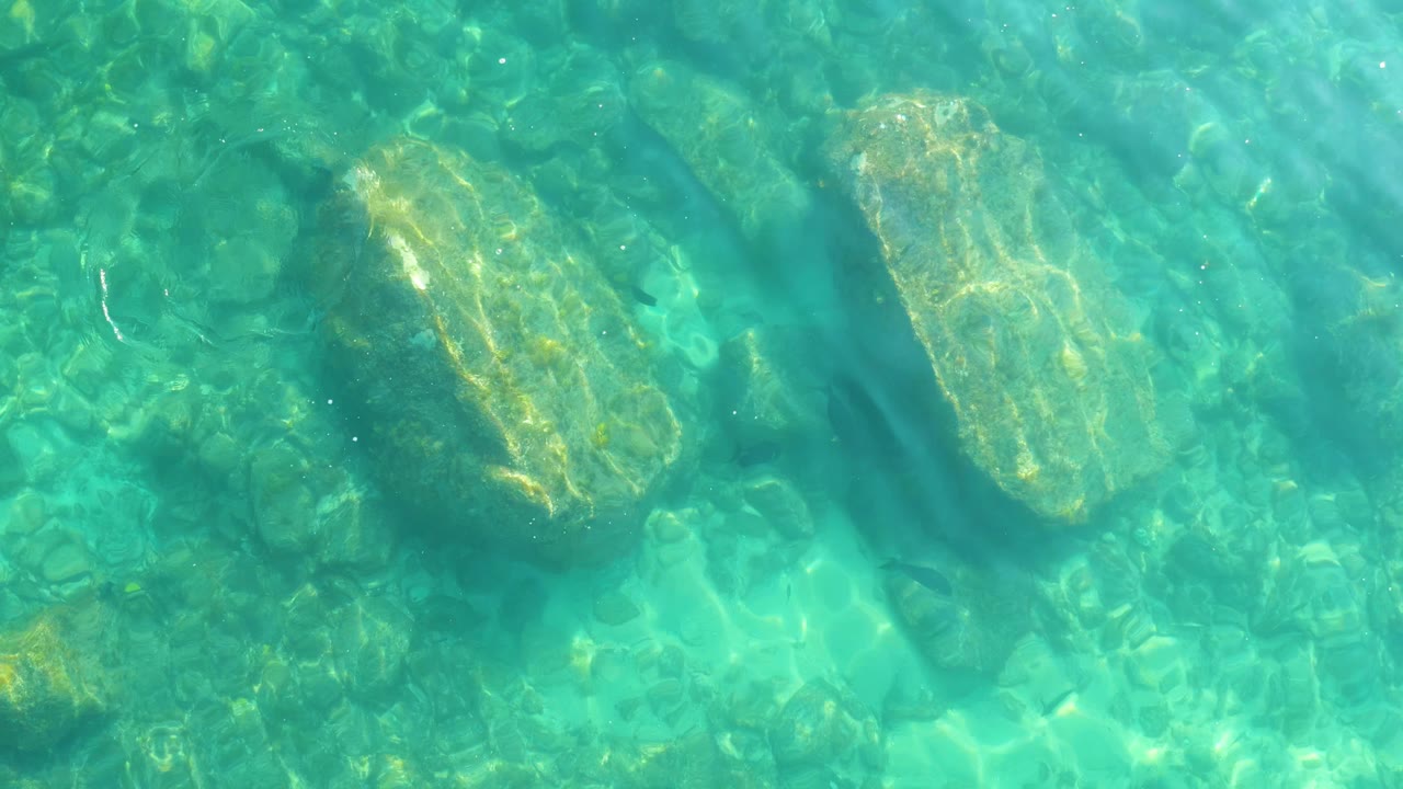 A large pale rock sits under clear turquoise water at Shipwrecks Los Cabos, with darker algae around it and no visible people.