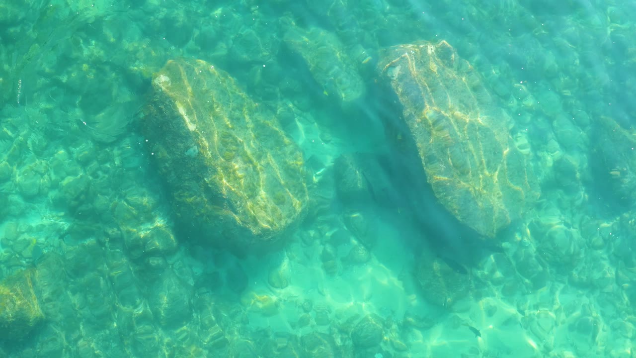 A pale underwater rock and nearby dark algae patches are visible through clear water at Shipwrecks Los Cabos, with no visible people.