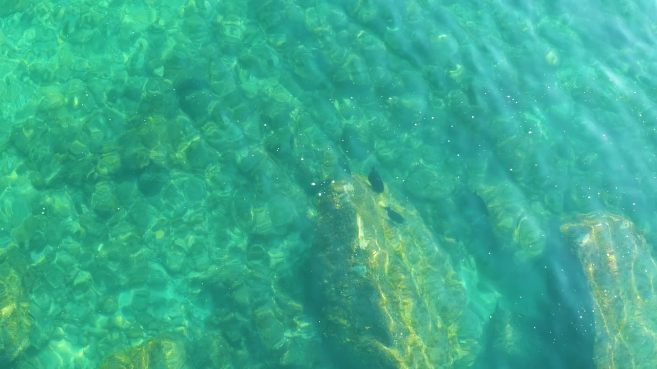 At 0:03, shallow turquoise water passes over darker seabed patches and pale rocks, with no swimmers, boats, or visible people.