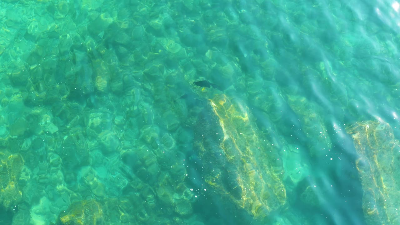 Clear green-blue water at Shipwrecks Los Cabos ripples over a rocky bottom, with light streaks shifting across the frame and no visible people.