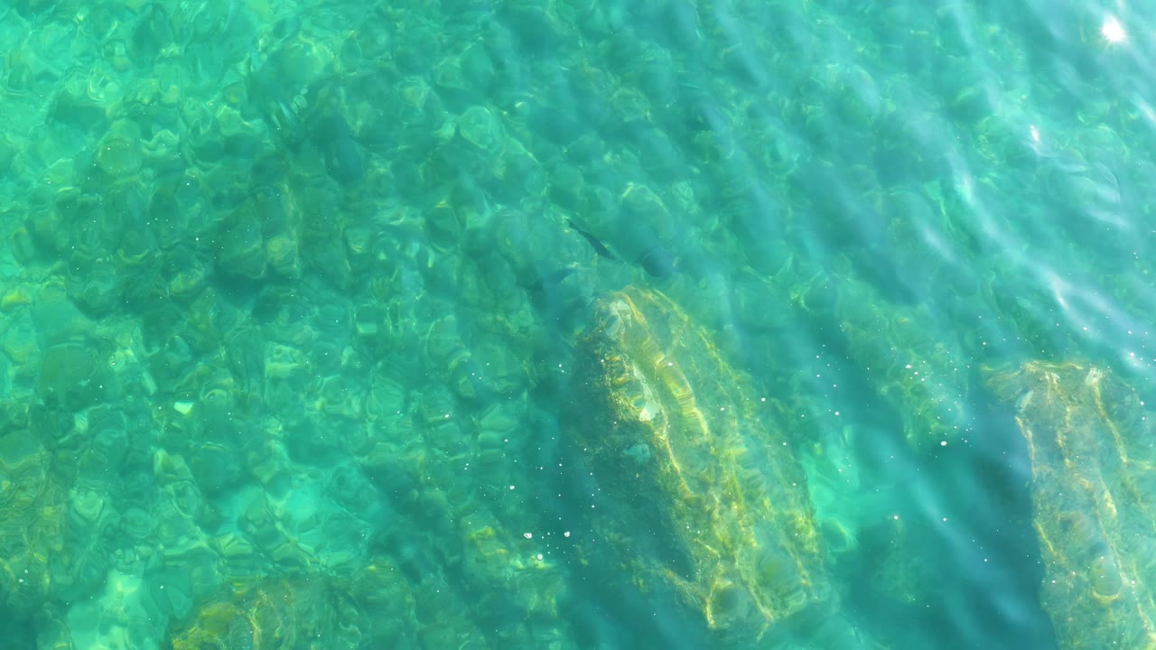 A small fish is visible near the upper left of the Shipwrecks Los Cabos frame while turquoise ripples pass over rocks below, with no visible people.