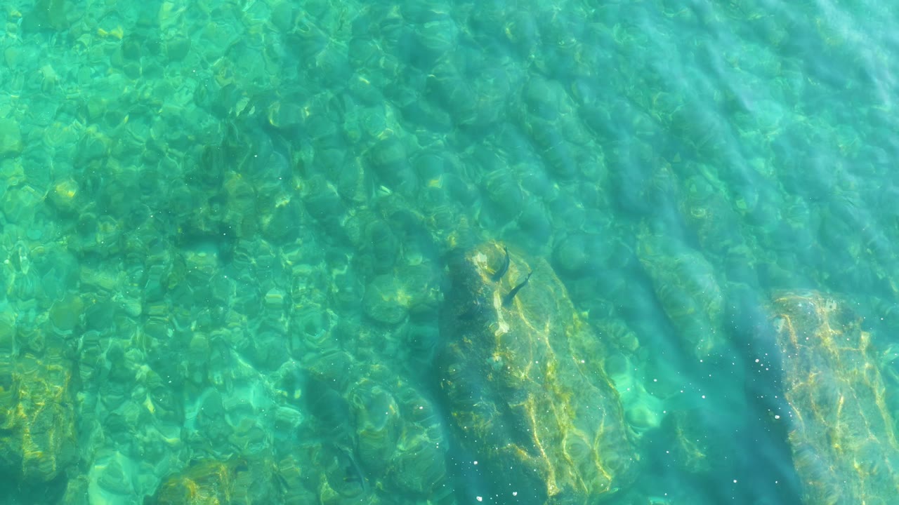 Clear turquoise shallow water at Shipwrecks Los Cabos shows submerged rocks, rippled sunlight, and a small dark fish near the left side, with no visible people.
