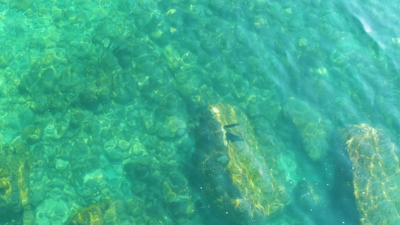 Turquoise water with rock shapes and small fish