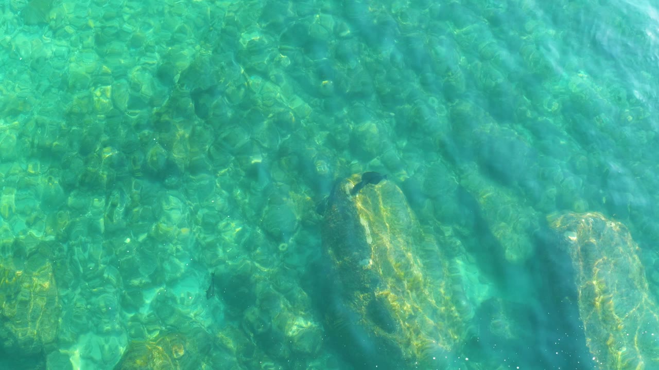 Turquoise shallow water over rocks with a small dark fish near the left side.
