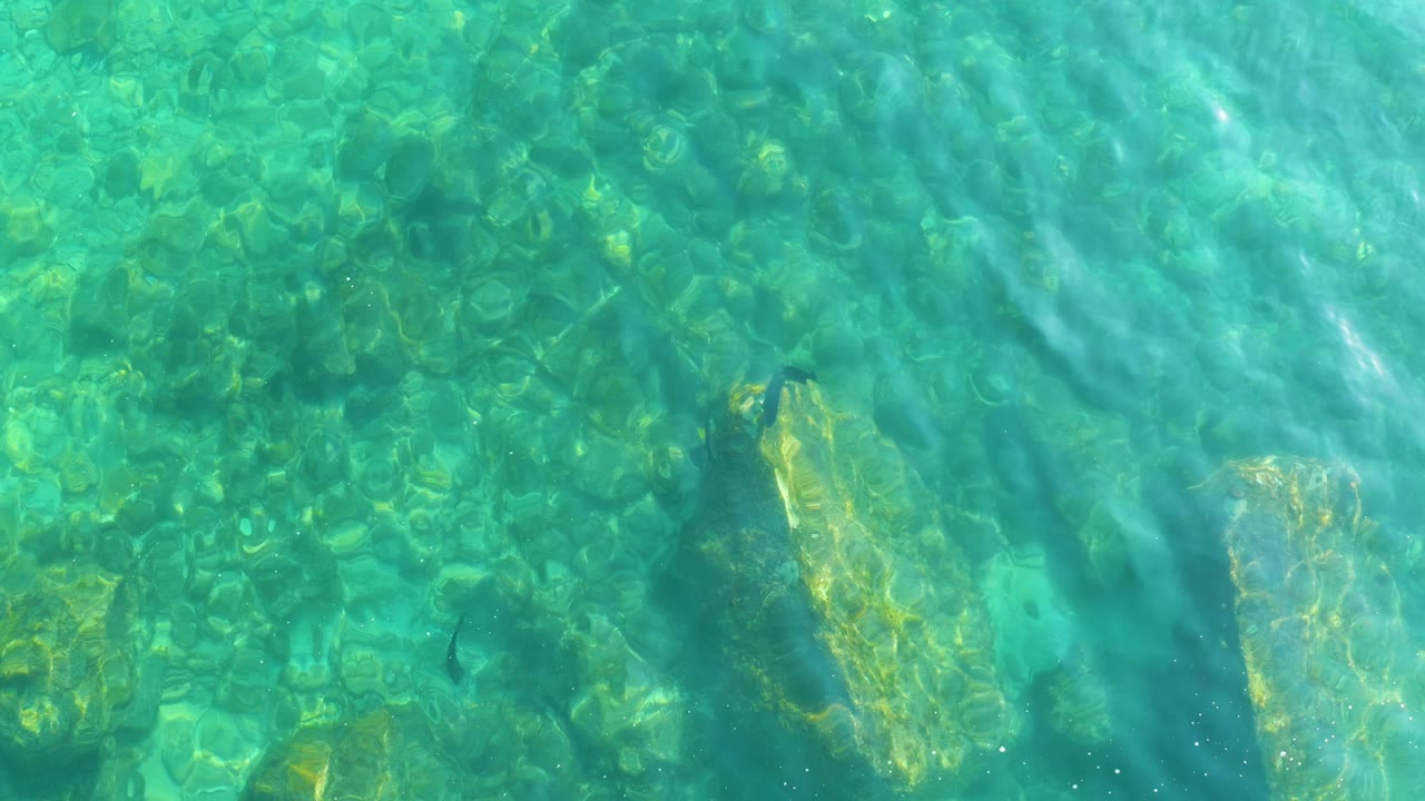 An overhead frame at Shipwrecks Los Cabos shows turquoise water, a rocky bottom, streaked surface ripples, a small fish near the lower left, and no visible people.