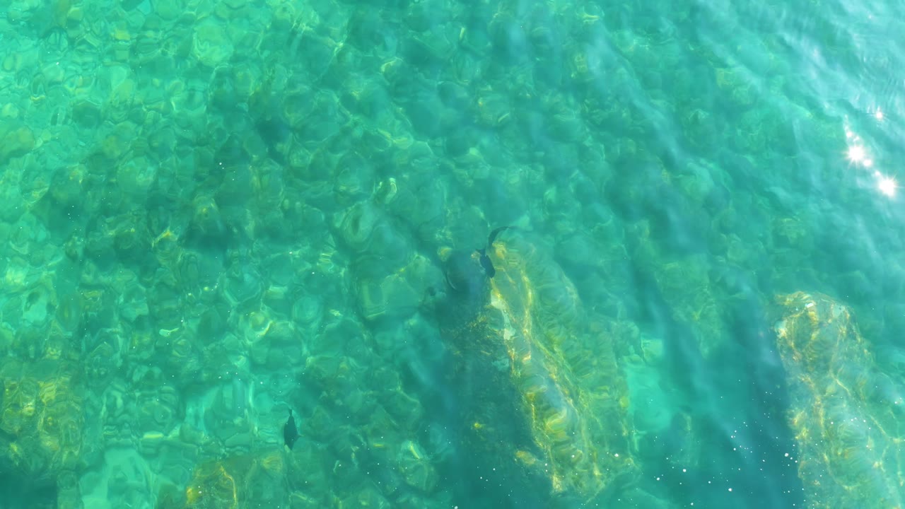Clear shallow water at Shipwrecks Los Cabos catches a bright sun glint above the rocky seabed, with a small fish near the lower left and no visible people.