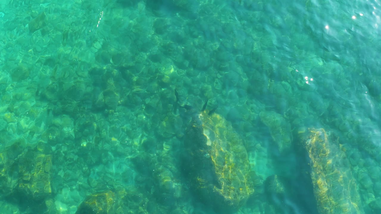 Top-down water view in Shipwrecks Los Cabos, Baja California Sur, with bright surface highlights crossing submerged green and tan rocks and no visible people.