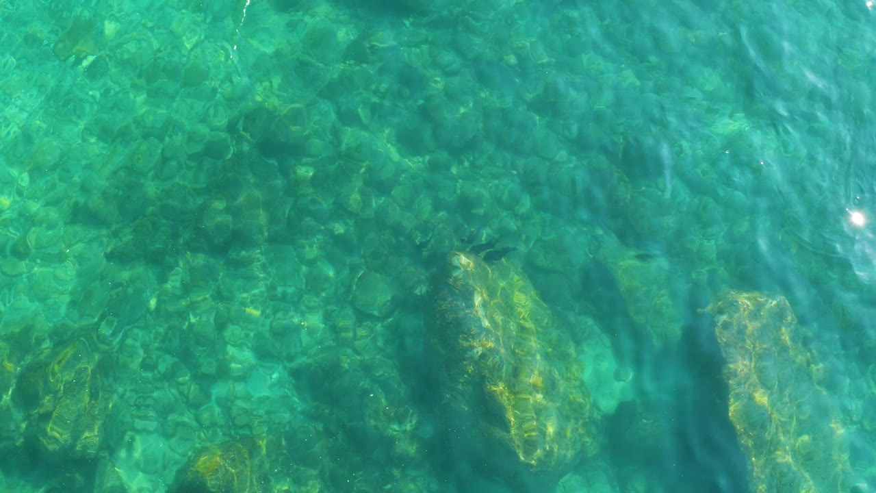 Clear shallow water with rocky seabed and small fish