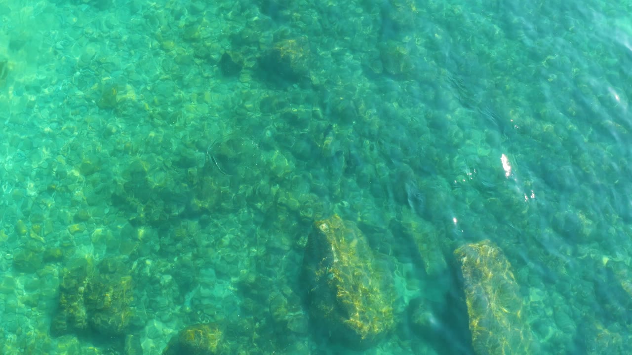 Green-blue shallow water over a rocky seabed at Shipwrecks Los Cabos, with darker plant growth and no shoreline or people visible.