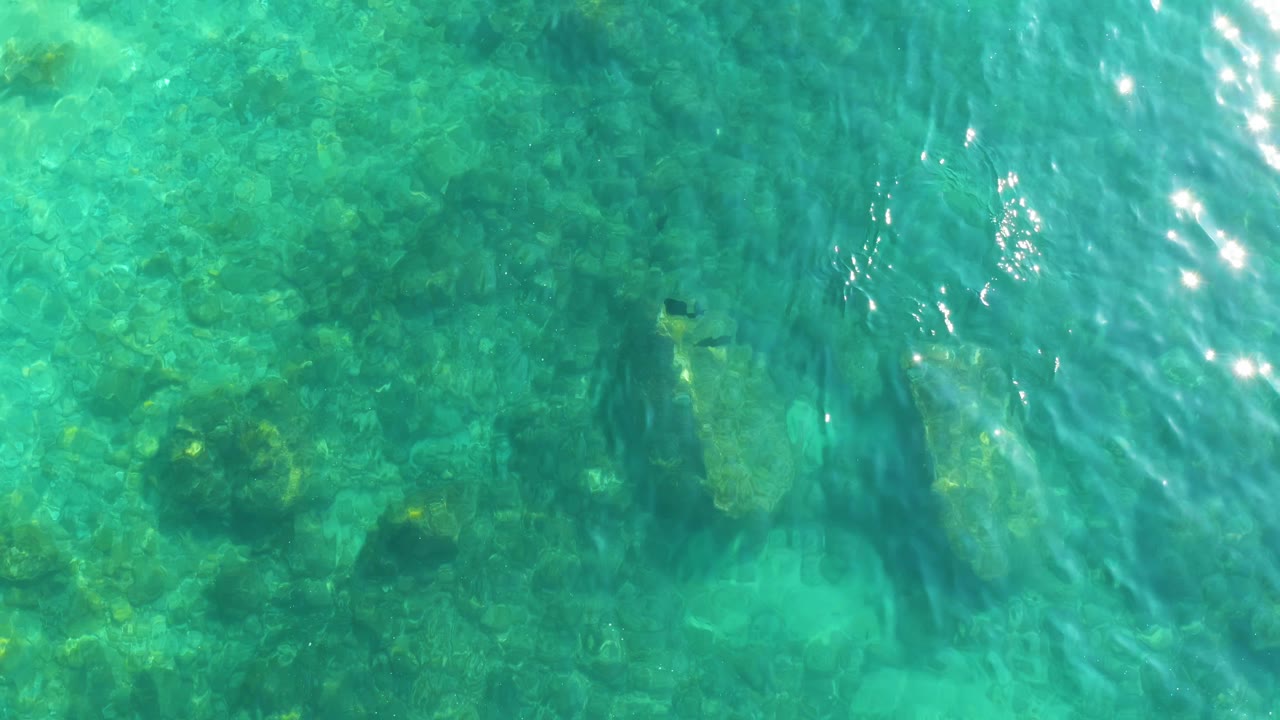 Clear green-blue water covers uneven rocks at Shipwrecks Los Cabos, with rippled sunlight moving across the upper-left water and no visible people.