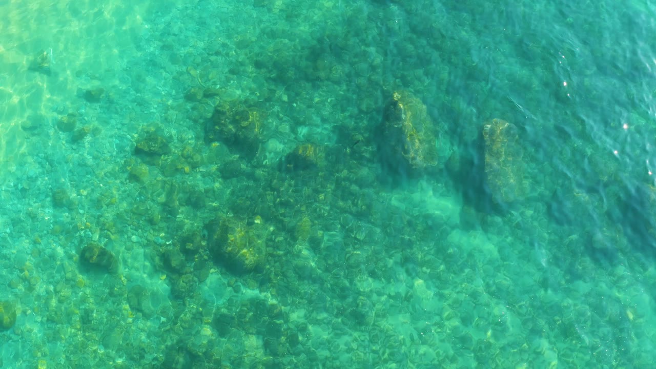 Clear turquoise water over a rocky seabed with algae.