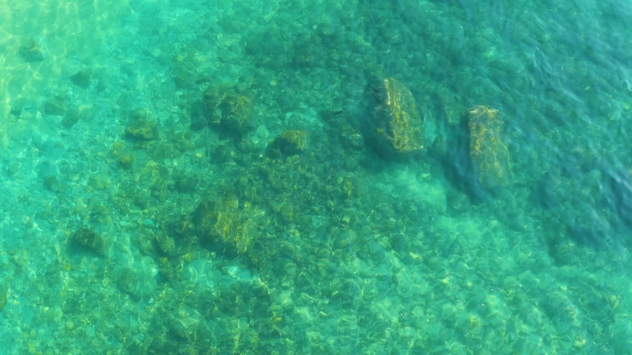 At Shipwrecks Los Cabos, shallow clear water shows darker rock clusters and green seabed growth beneath the surface, with no visible people.