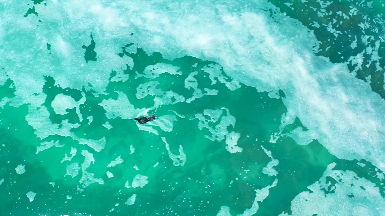 Aerial frame from Marquis Los Cabos, Mexico with the surfer still small in the upper left area as white foam spreads across green-blue ocean water.