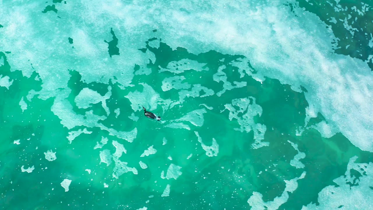 Top-down Marquis Los Cabos, Mexico ocean view with a tiny surfer near the upper center-right and white foam drifting across the surrounding turquoise surface.