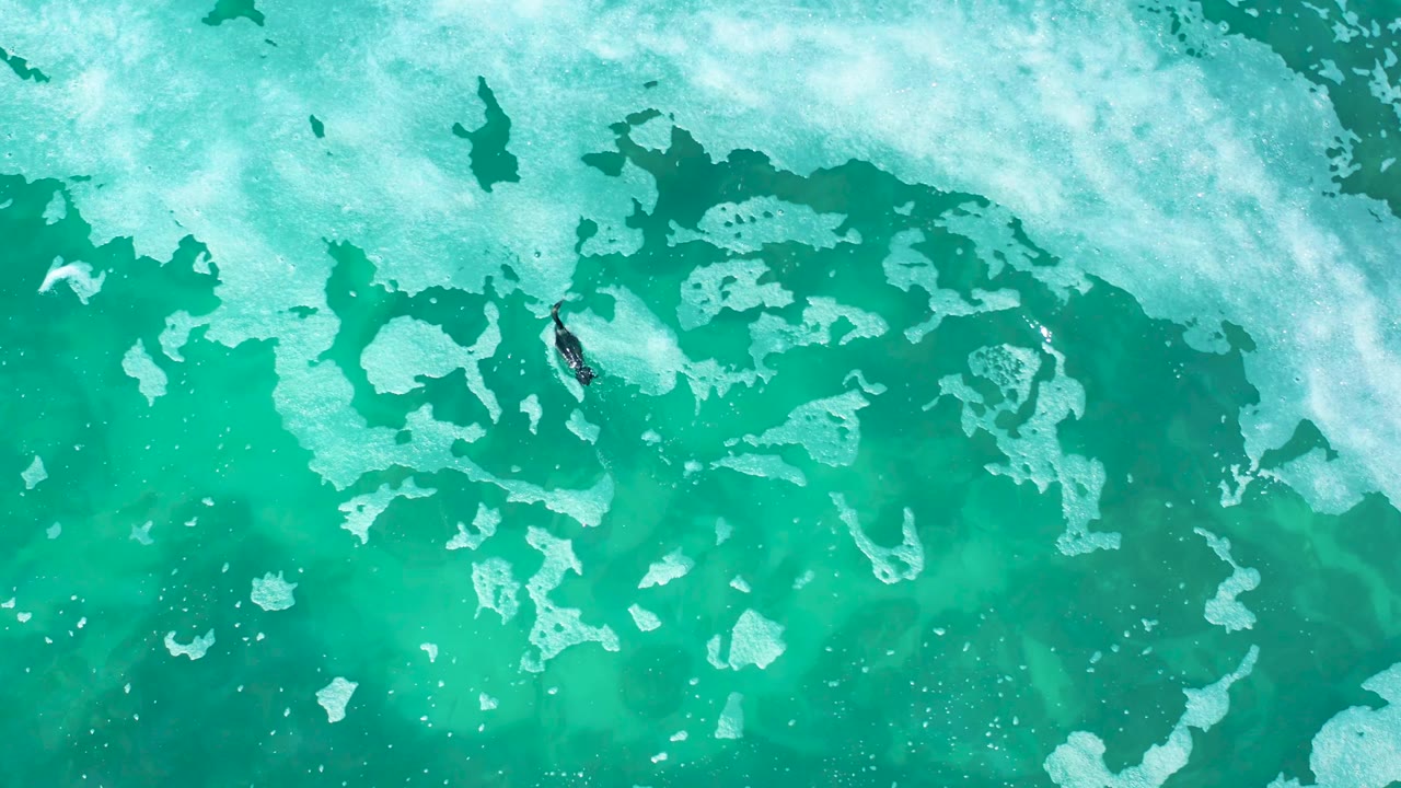 Aerial turquoise water with white foam and a small surfer at left