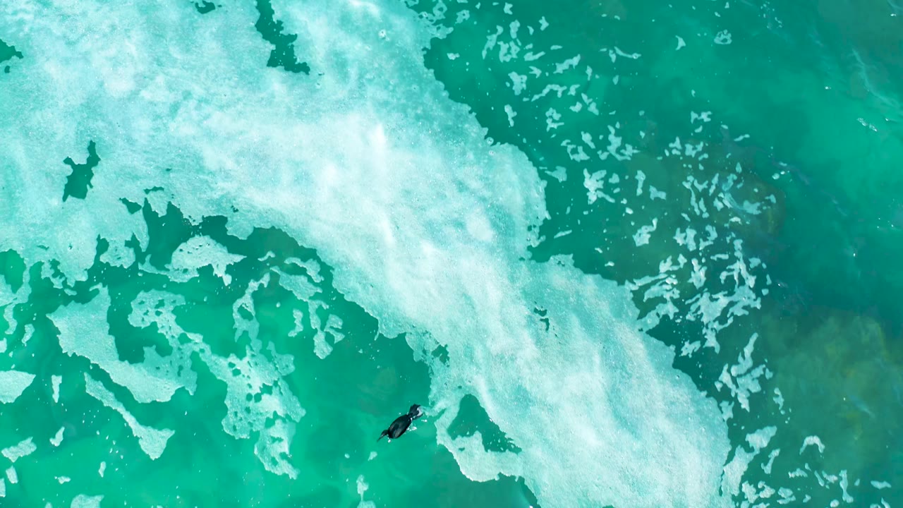 Top-down view at Marquis Los Cabos, Mexico, with a small dark surfer near lower center-left below broad white foam over turquoise water.