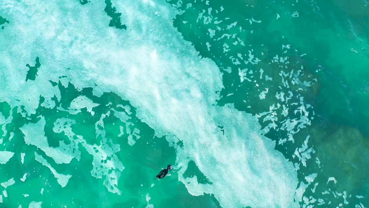 Aerial frame from Marquis Los Cabos, Mexico, showing the surfer slightly right of center beneath a diagonal band of white foam in blue green water.