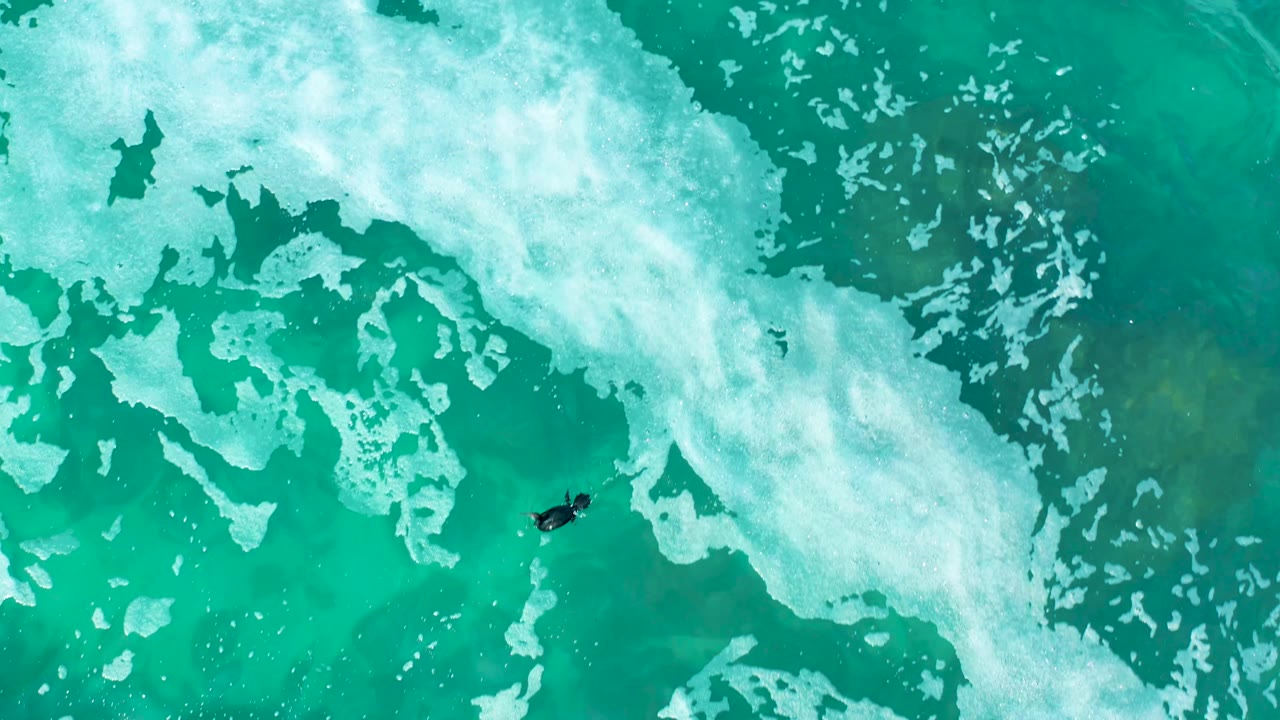 Top-down Marquis Los Cabos surf view with the small surfer near center-right, surrounded by broken white foam islands and transparent turquoise water.