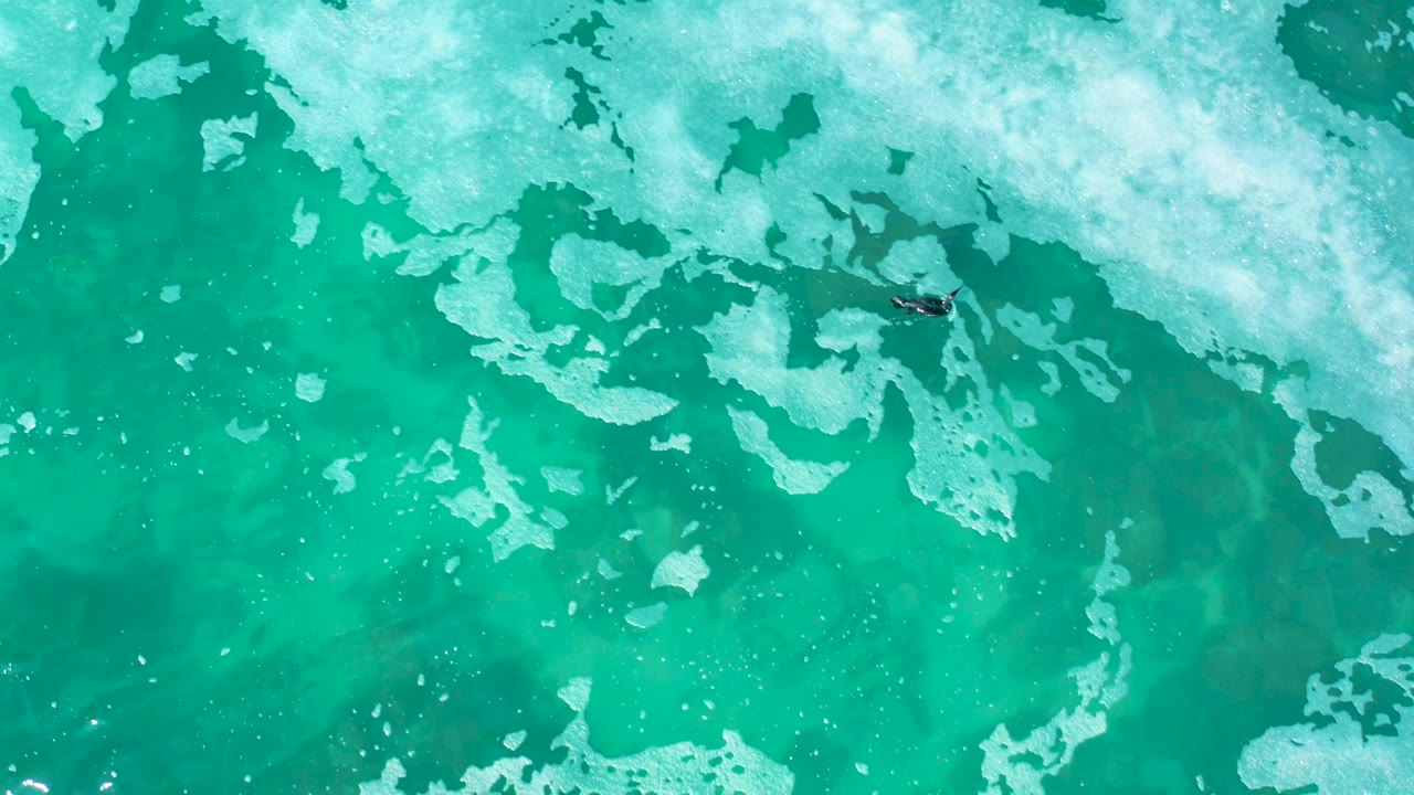 Overhead view at Marquis Los Cabos, Mexico showing turquoise ocean, scattered white foam, and a small surfer on a dark board near the upper center with no recognizable face visible.