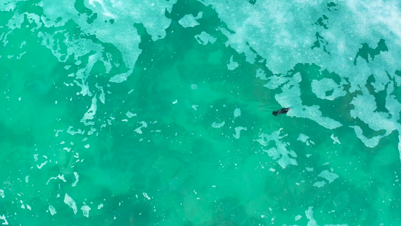 At Marquis Los Cabos, Mexico, a straight-down view shows turquoise water with pale surface patches and a small dark swimmer near the center-left area.