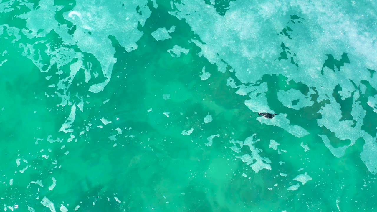 At Marquis Los Cabos, Mexico, a small swimmer appears near the upper-right area beneath a band of pale surface patches in the turquoise water.