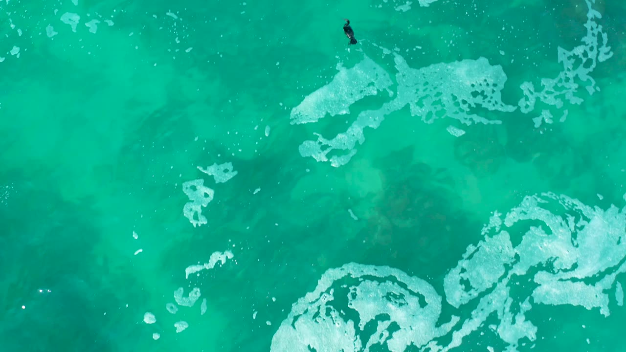 At Marquis Los Cabos, Mexico, the swimmer is near the upper center of the overhead frame, with large white foam shapes drifting across the right and lower areas.