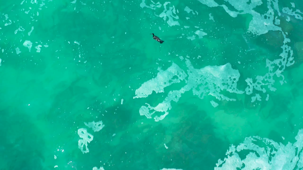 Top-down sea surface with a swimmer left of center and white foam patches across turquoise water.