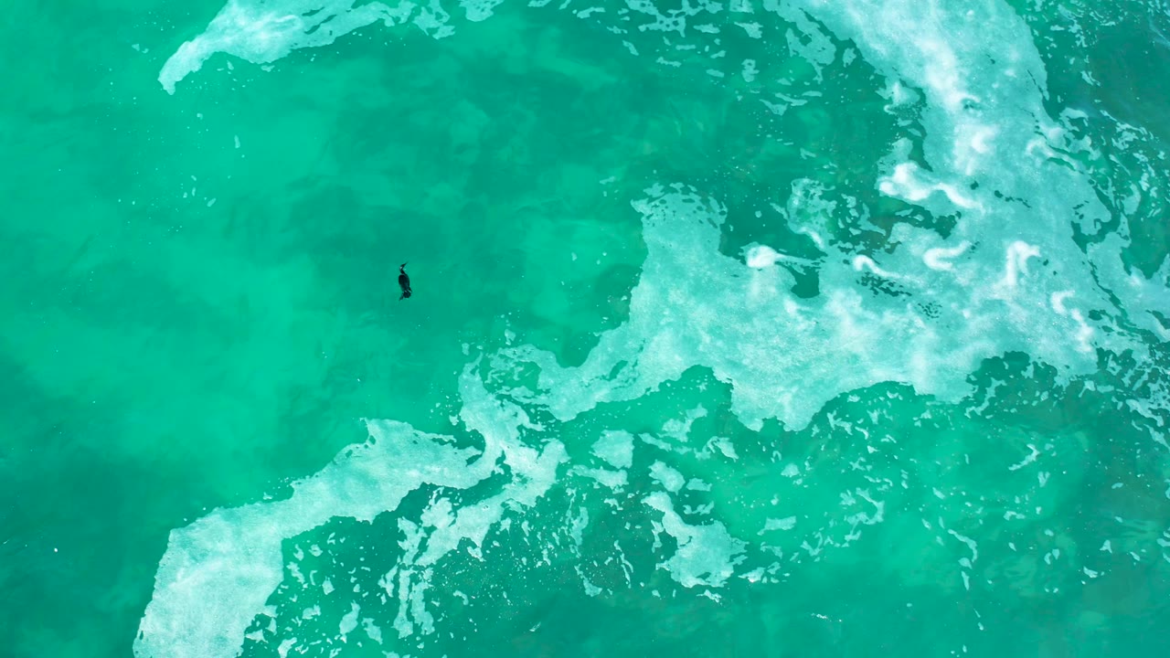 At Marquis Los Cabos, Mexico, an overhead drone frame shows a small surfer near the left side of turquoise water with white foam curling across the top and lower edge.