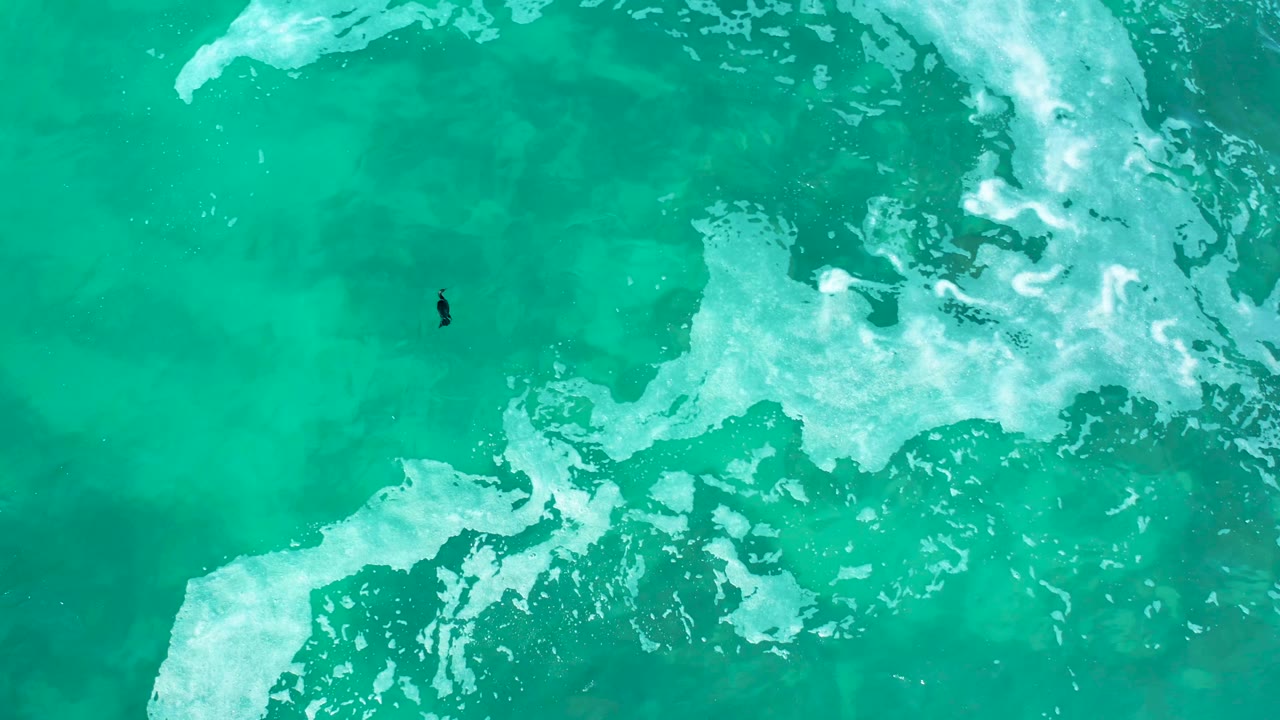 Small surfer in turquoise water beside broad white wave foam.