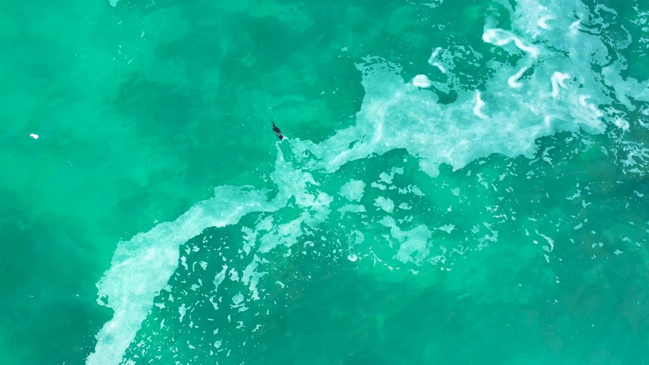 Overhead ocean frame with a bodyboarder just above a foamy wave line.