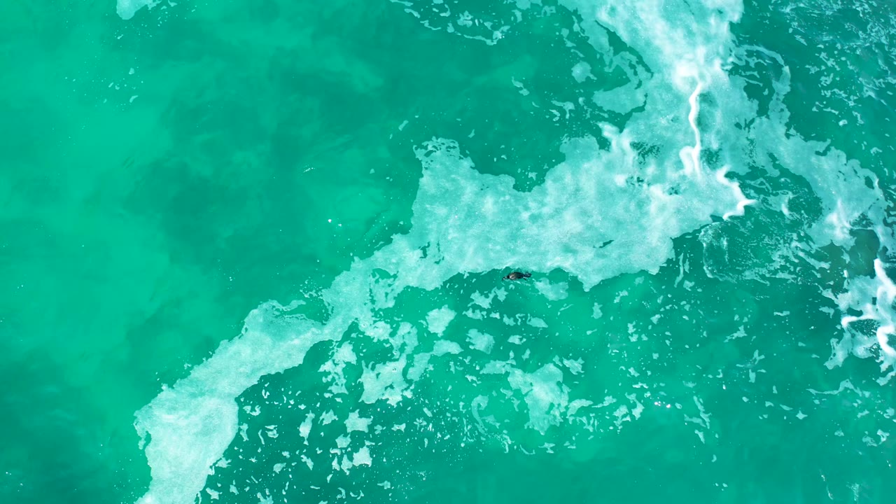 Top-down view at Marquis Los Cabos, Mexico where white surf foam pushes across the turquoise ocean and a small dark surfer shape sits near the upper foam edge, with no recognizable people.